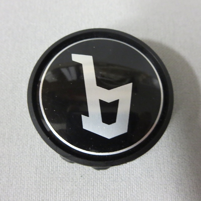 fregio stemma logo emblema marchio ruota ruote fiat x 19 1/9 1-9 x19 1 9 bertone